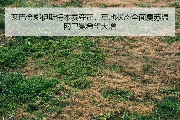lai-ba-jin-na-yi-si-te-ben-sai-duo-guan-cao-di-zhuang-tai-quan-mian-fu-su-wen-wang-wei-mian-xi-wang-da-zeng-2-494.jpg