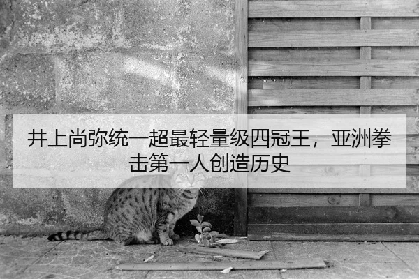 井上尚弥统一超最轻量级四冠王，亚洲拳击第一人创造历史